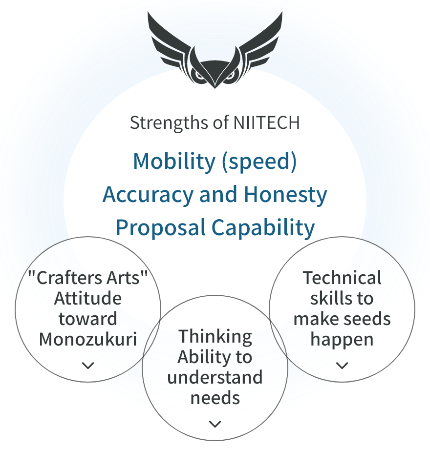 Strengths of NIITECH